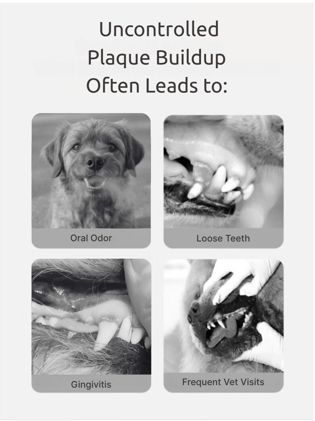 BrightSitePic1